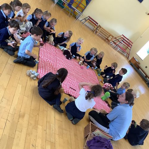 TeddyBear'sPicnic