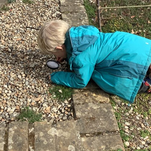 School Farm Visit