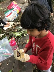 20250912_125707113_iOS